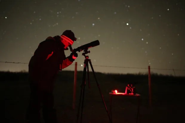 8 Best Telescopes for Urban Stargazing in 2026